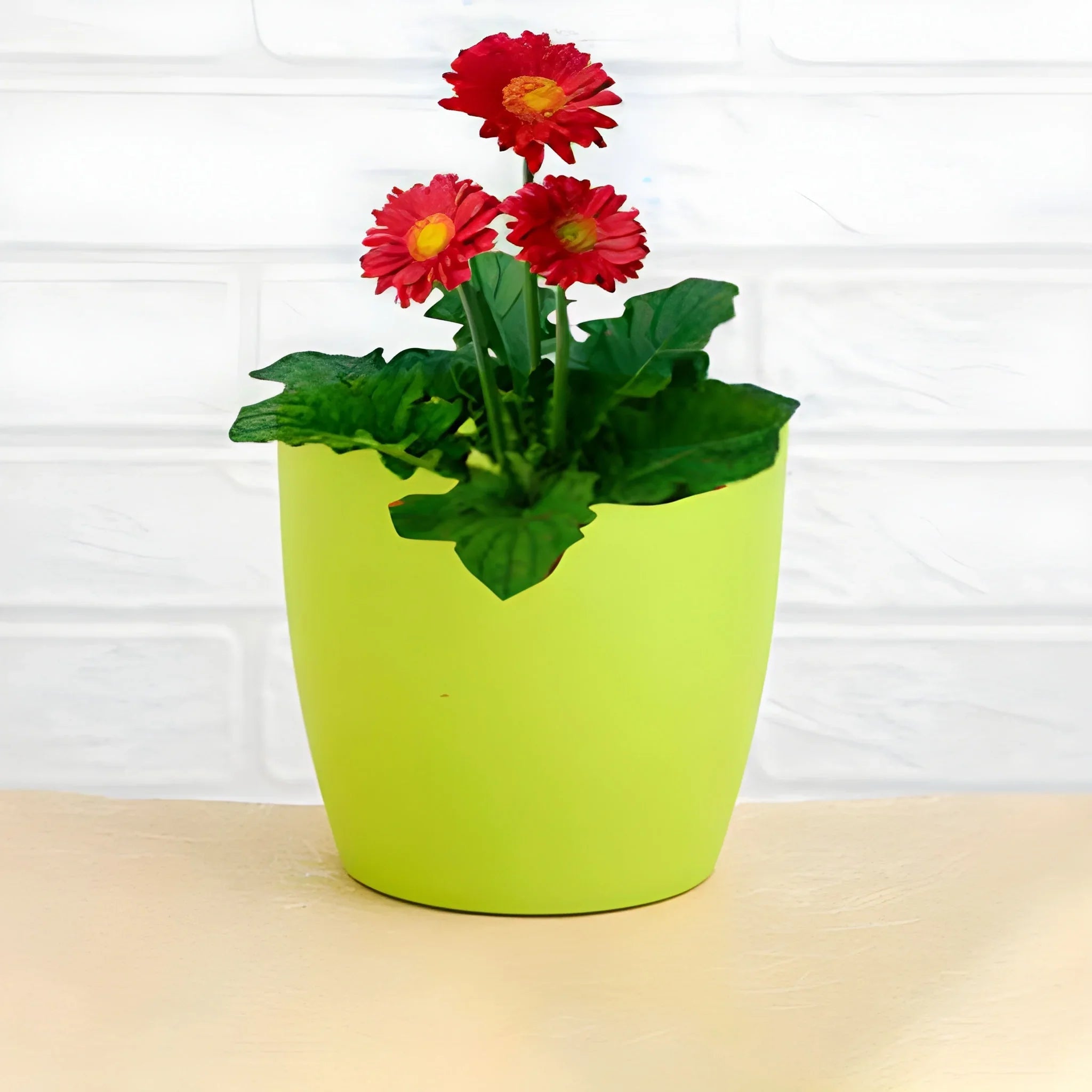 Best flower pots round shape - home & garden | 2025 | fast shipping