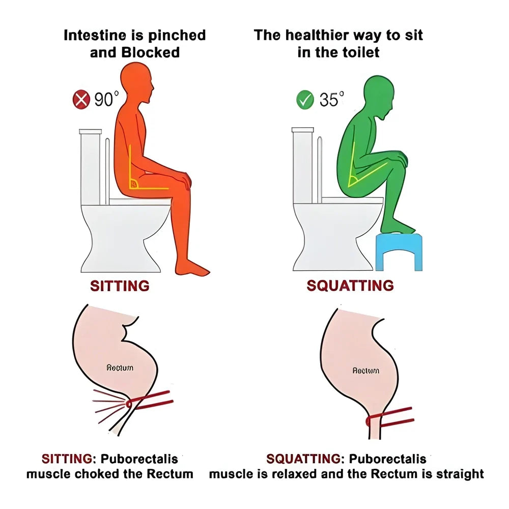 Best foldable squatting toilet stool - accessibility furniture & fixtures | 2025 | fast shipping