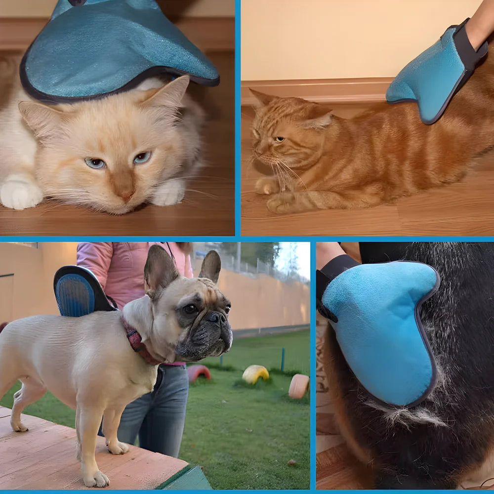 Best gentle pet hair glove - grooming supplies | 2025 | fast shipping