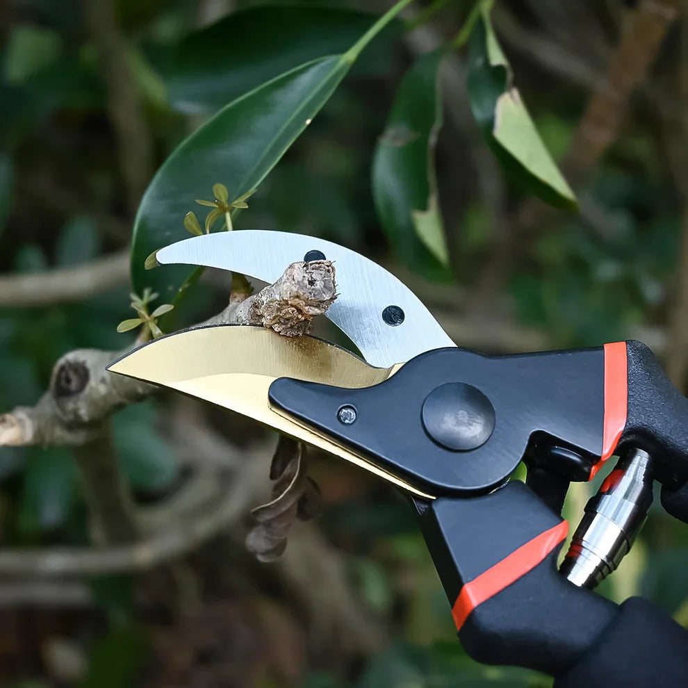 Best heavy duty pruning shears - 2025 | fast shipping