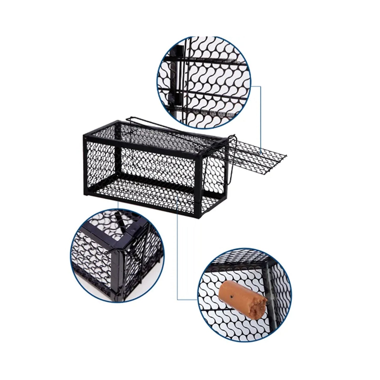 Best humane live catch trap - pet supplies | 2025 | fast shipping