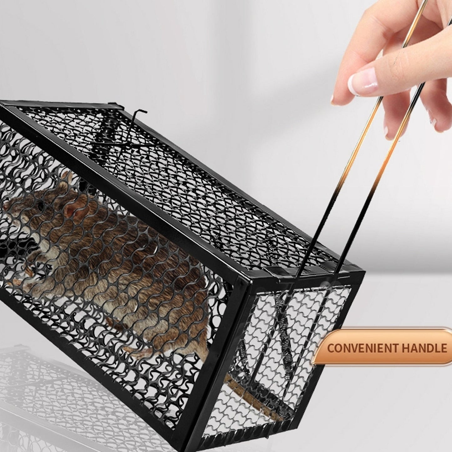 Best humane live catch trap - pet supplies | 2025 | fast shipping