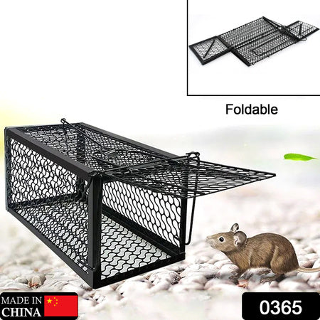 Best humane live catch trap - pet supplies | 2025 | fast shipping