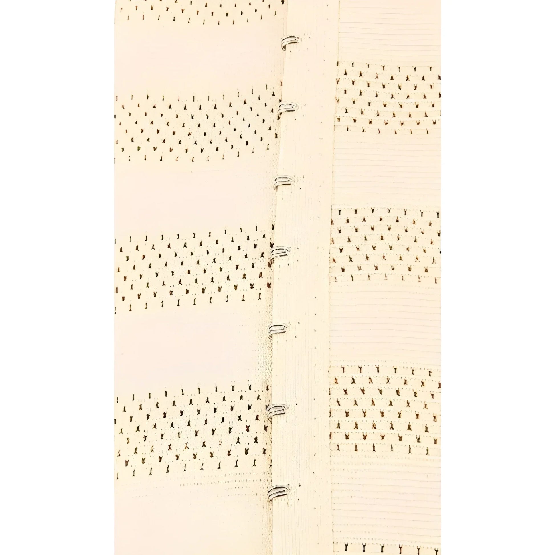 Best instant waist shaper belt - personal care | 2025 | fast shipping