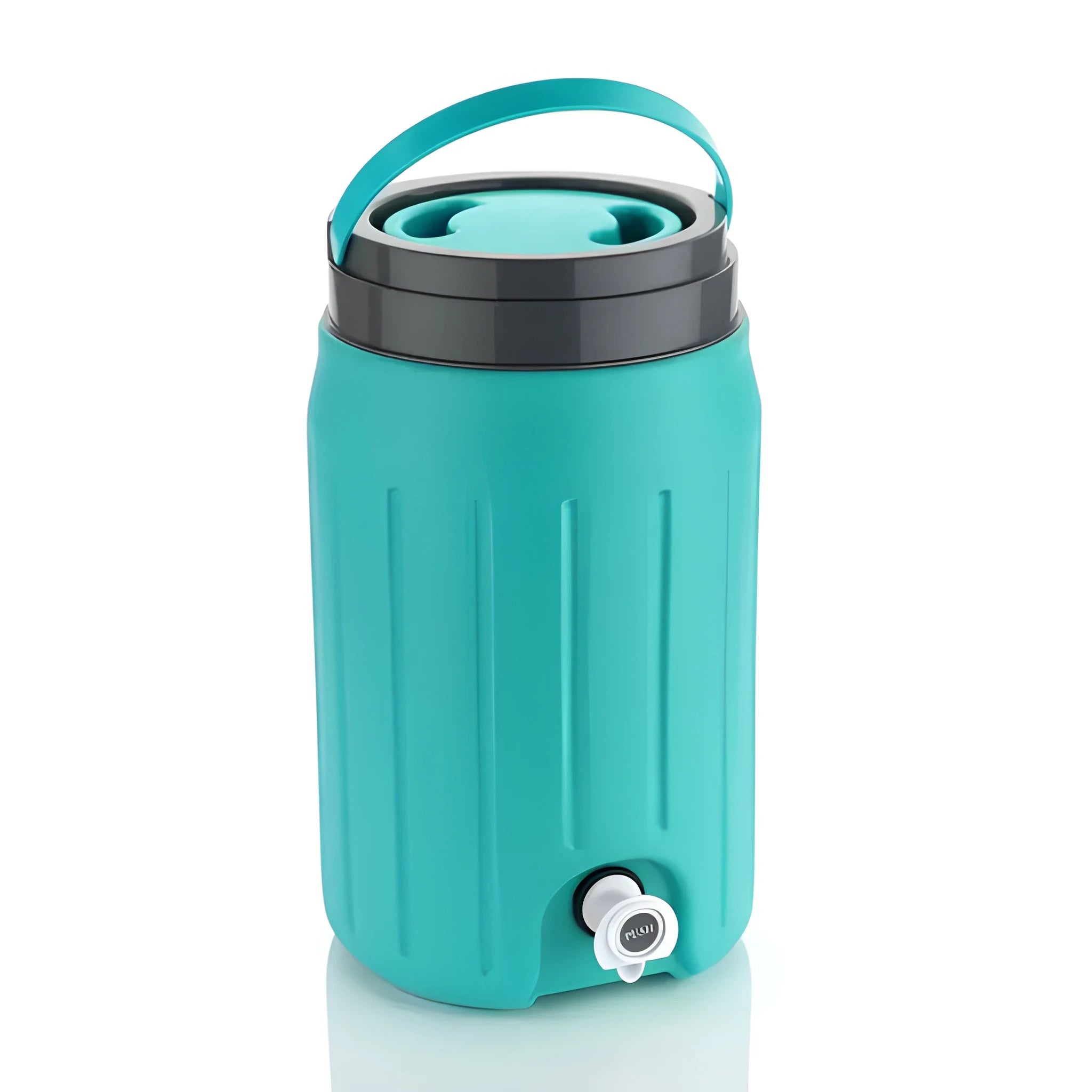 Insulated water jug