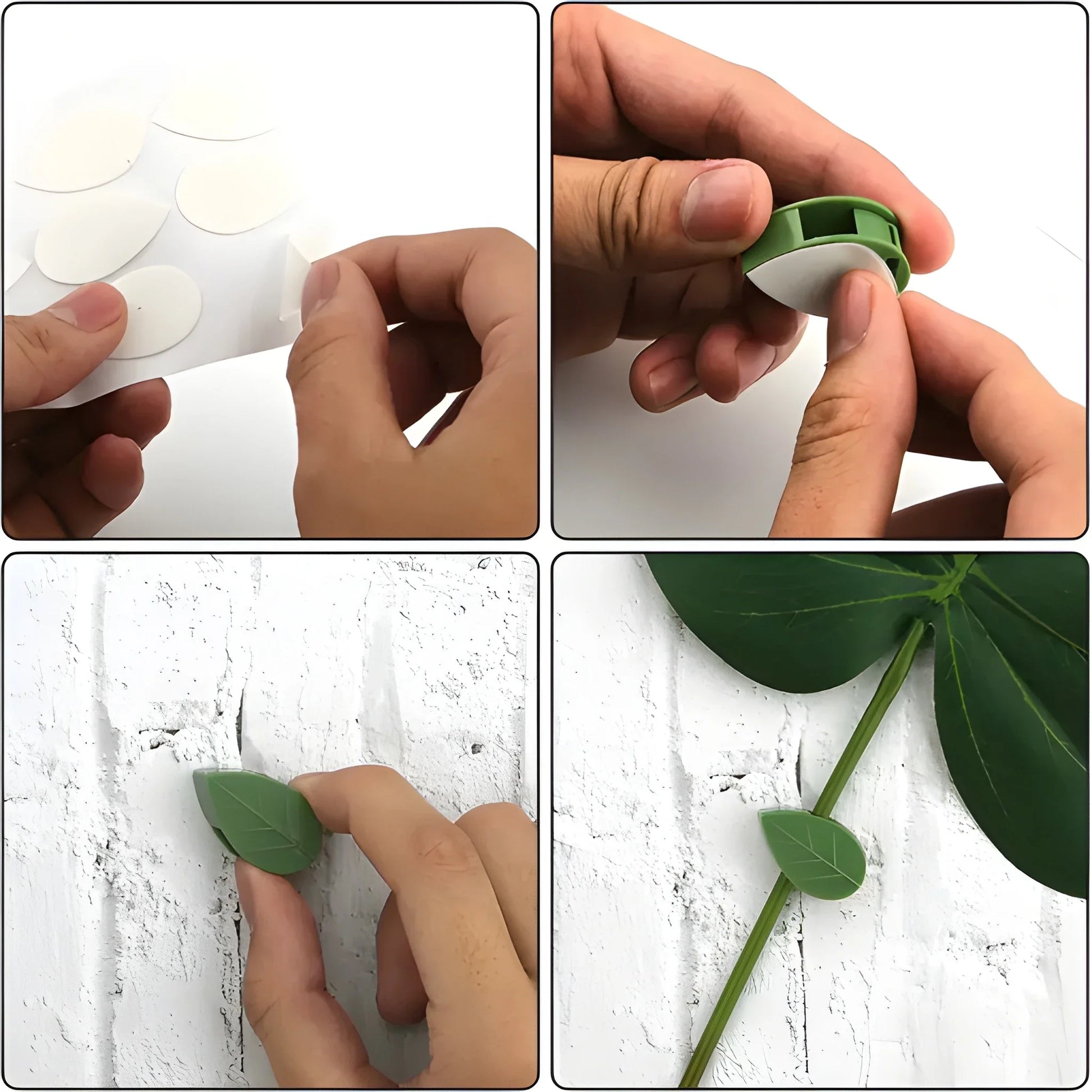Invisible Plant Support Clips - Garden & Outdoors