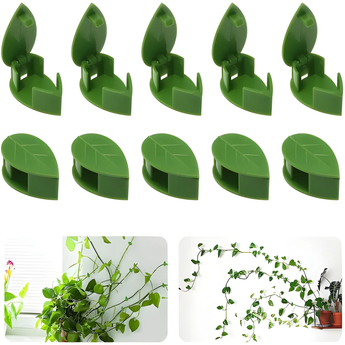 Invisible Plant Support Clips - Garden & Outdoors