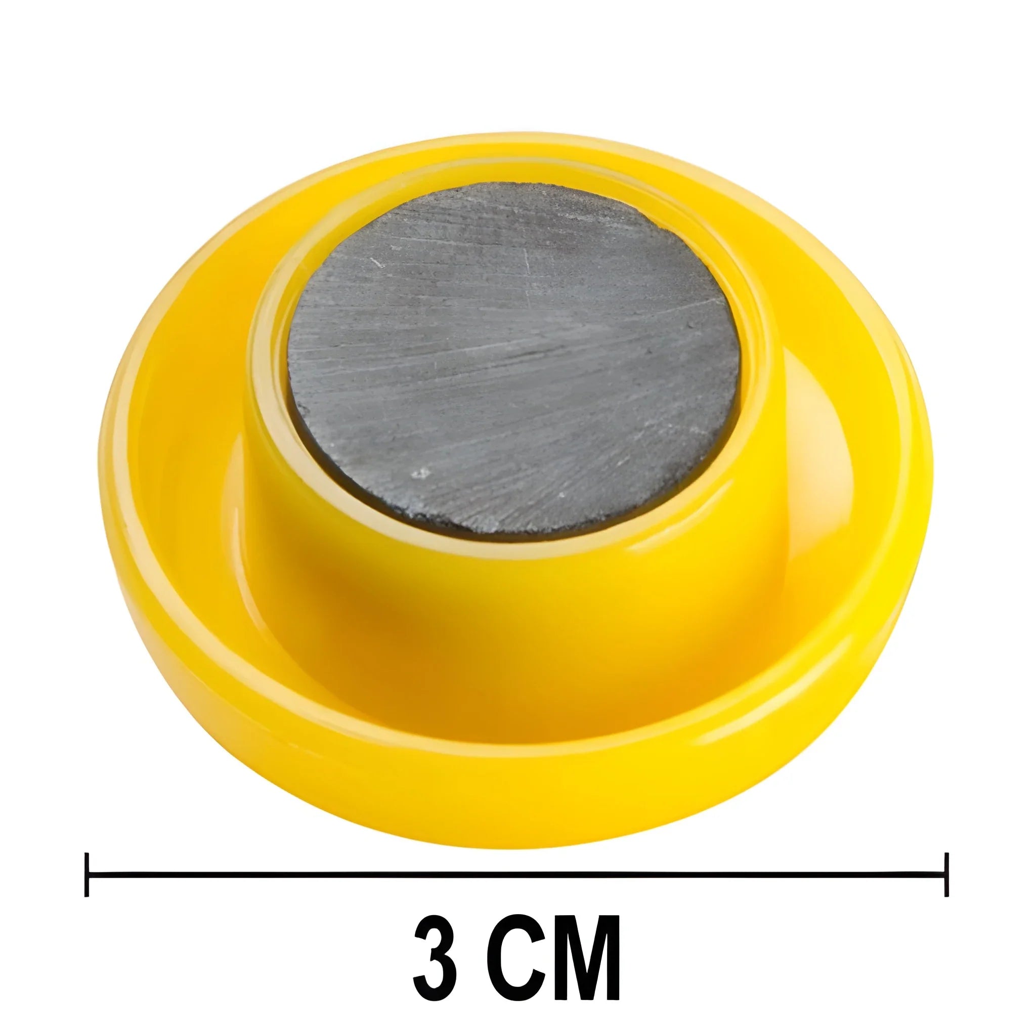 Jumbo Colorful Magnets - Home Improvement