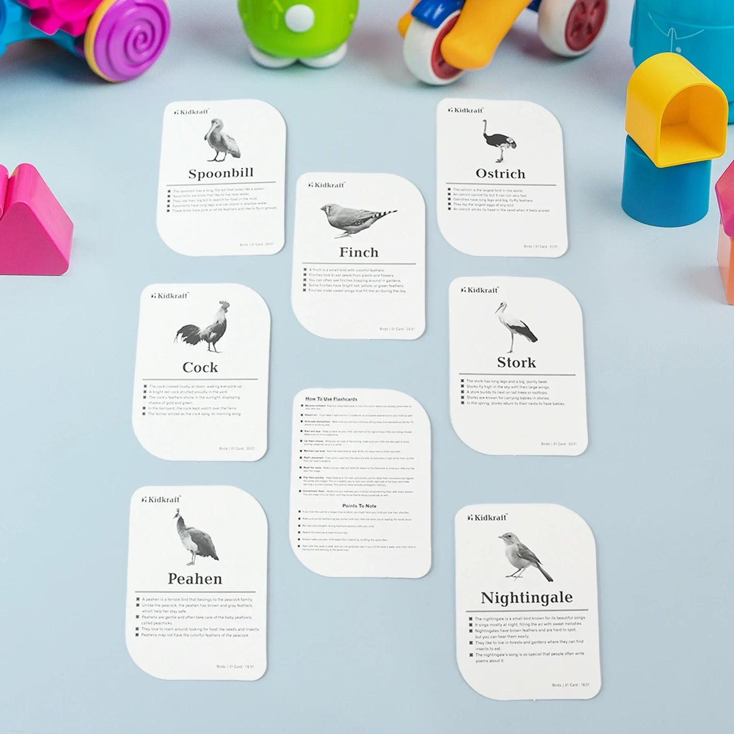 Best kidkraft birds flashcards – 32 cards - educational flash | 2025 | fast shipping