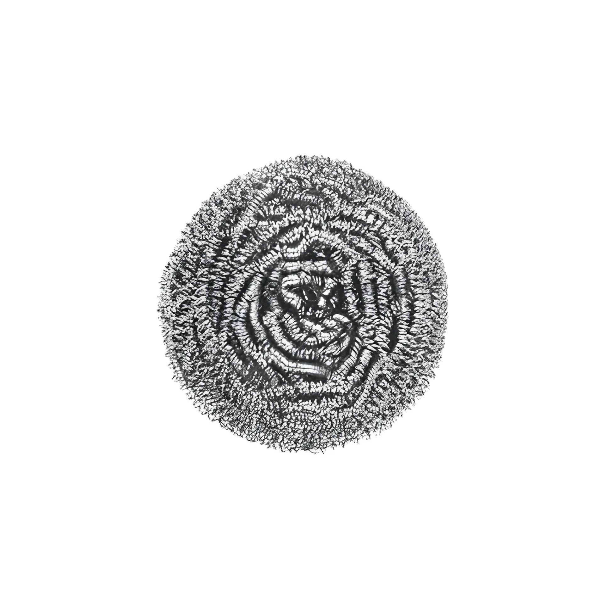 Best round shape stainless steel scrubber - home & garden | 2025 | fast shipping