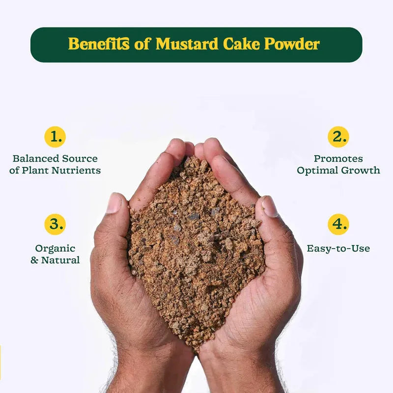 Best mustard cake fertilizer 900gm - fertilizers | 2025 | fast shipping