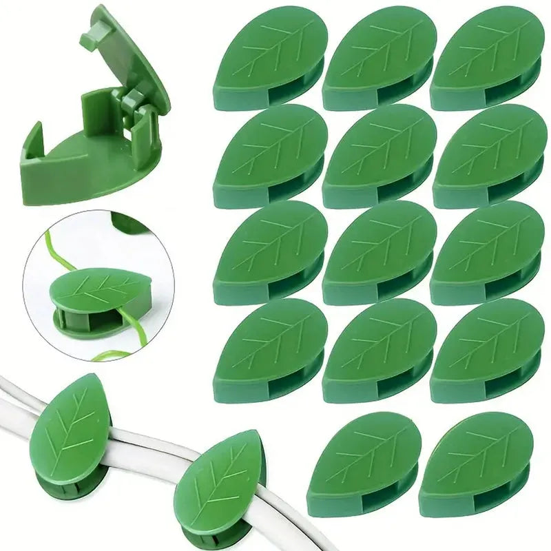 Best plant climbing wall fixture clip (30 pcs set) - supports | 2025 | fast shipping