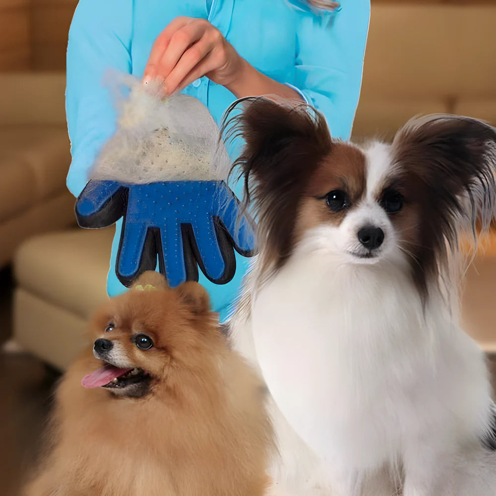 Best pet grooming glove brush - 2025 | fast shipping