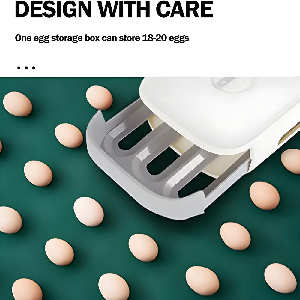 Best plastic egg box - bread boxes & bags | 2025 | fast shipping