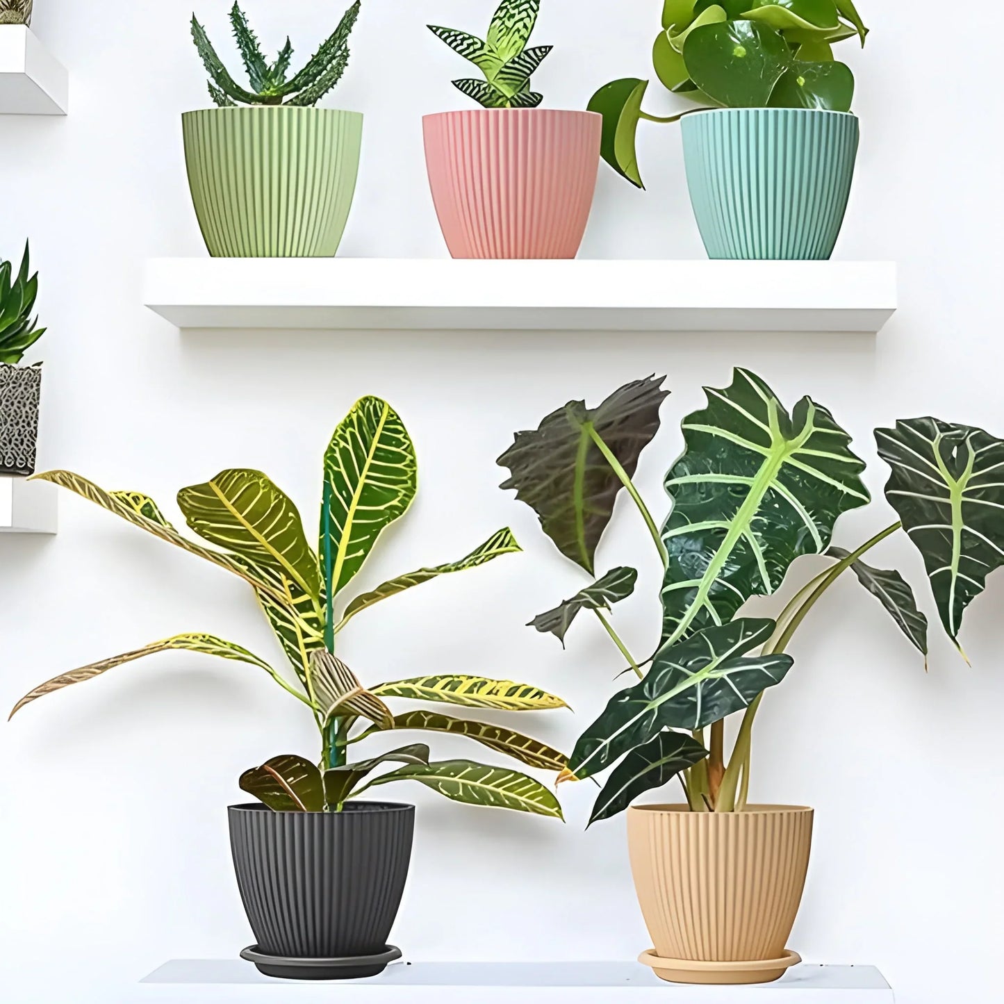 Best plastic flower pot with bottom tray - home & garden | 2025 | fast shipping