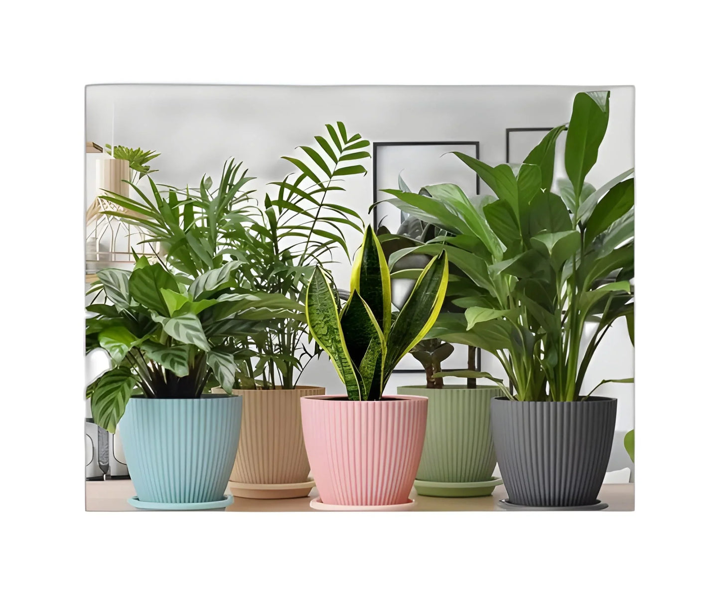 Best plastic flower pot with bottom tray - home & garden | 2025 | fast shipping