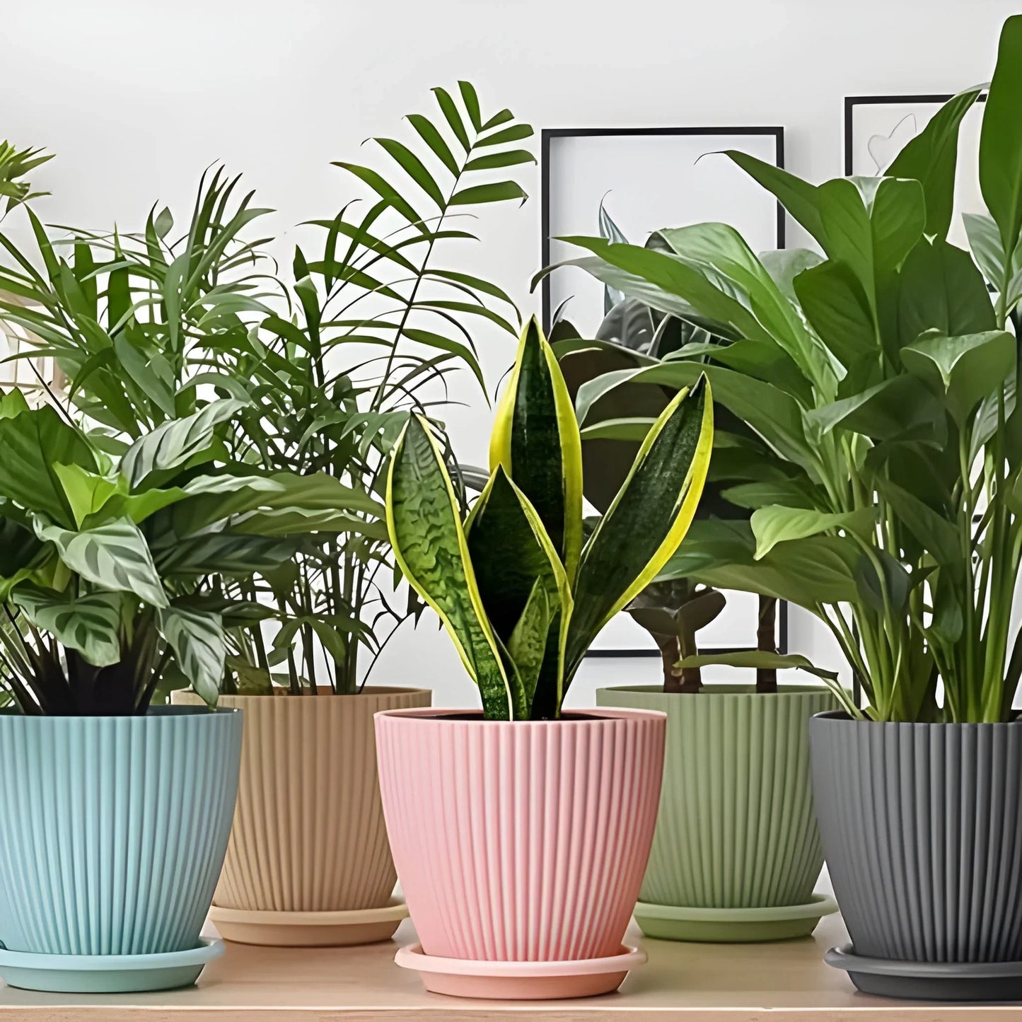 Best plastic flower pot with bottom tray - home & garden | 2025 | fast shipping