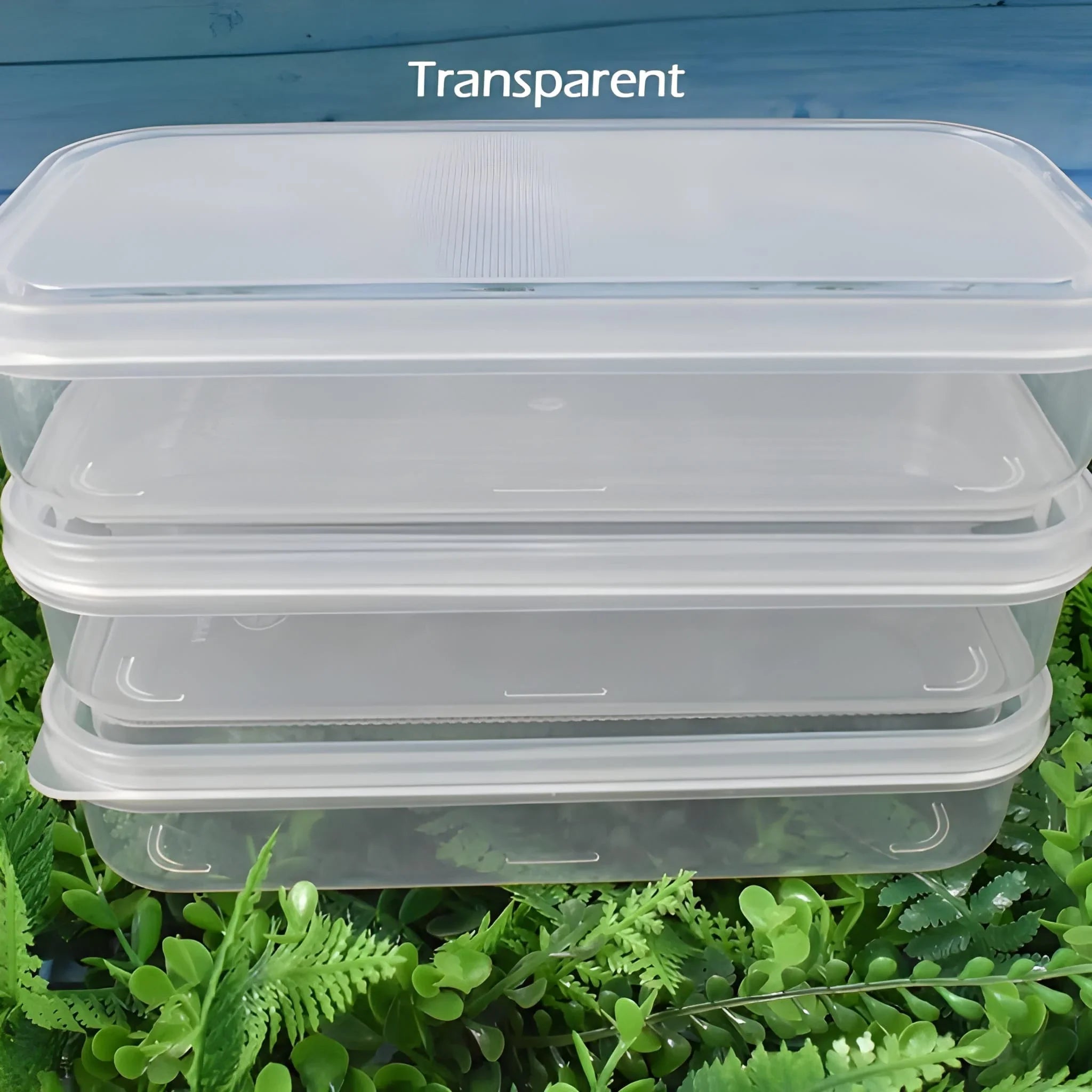Best plastic square lunch box containers set - home & garden | 2025 | fast shipping
