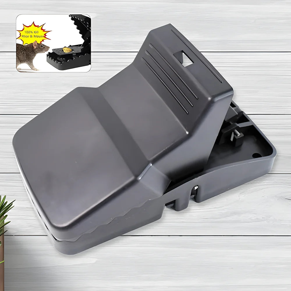 Best reusable rat trap - pest control traps | 2025 | fast shipping