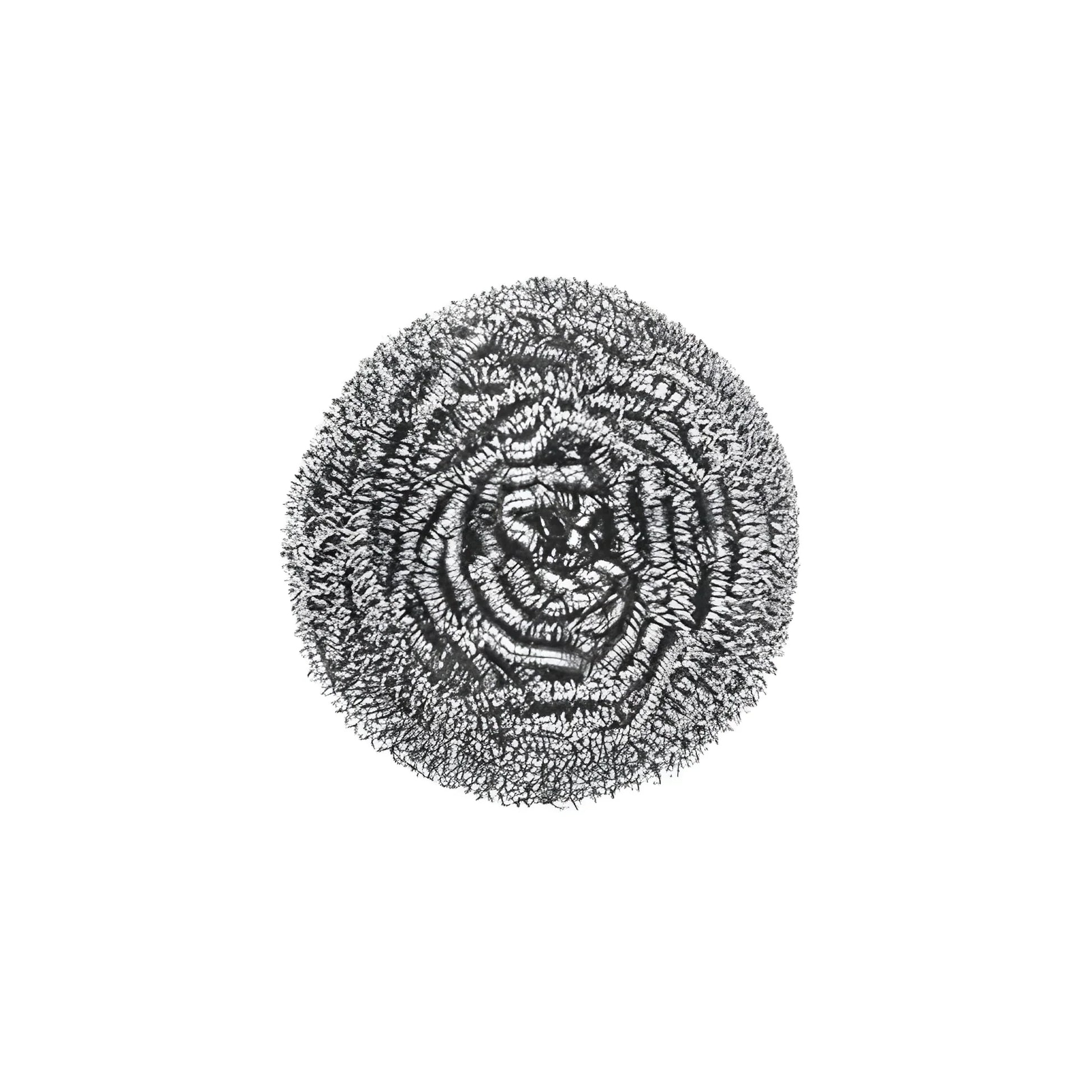 Best round shape stainless steel scrubber - home & garden | 2025 | fast shipping