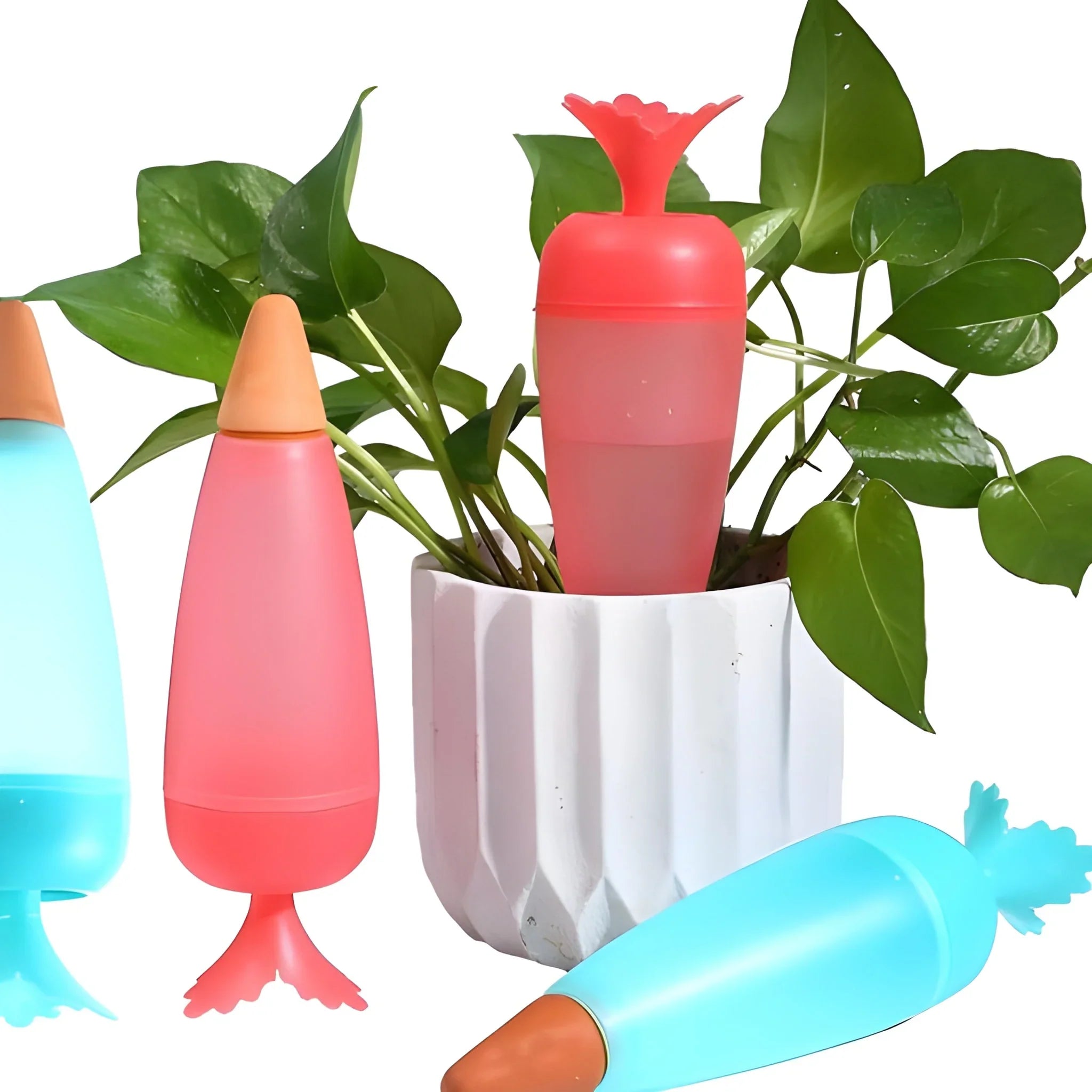 Best self watering spike plant - home & garden | 2025 | fast shipping