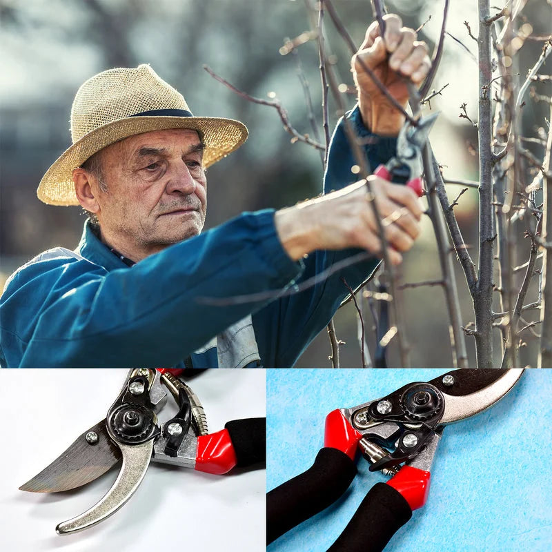 Best sharp garden pruning shears - 2025 | fast shipping