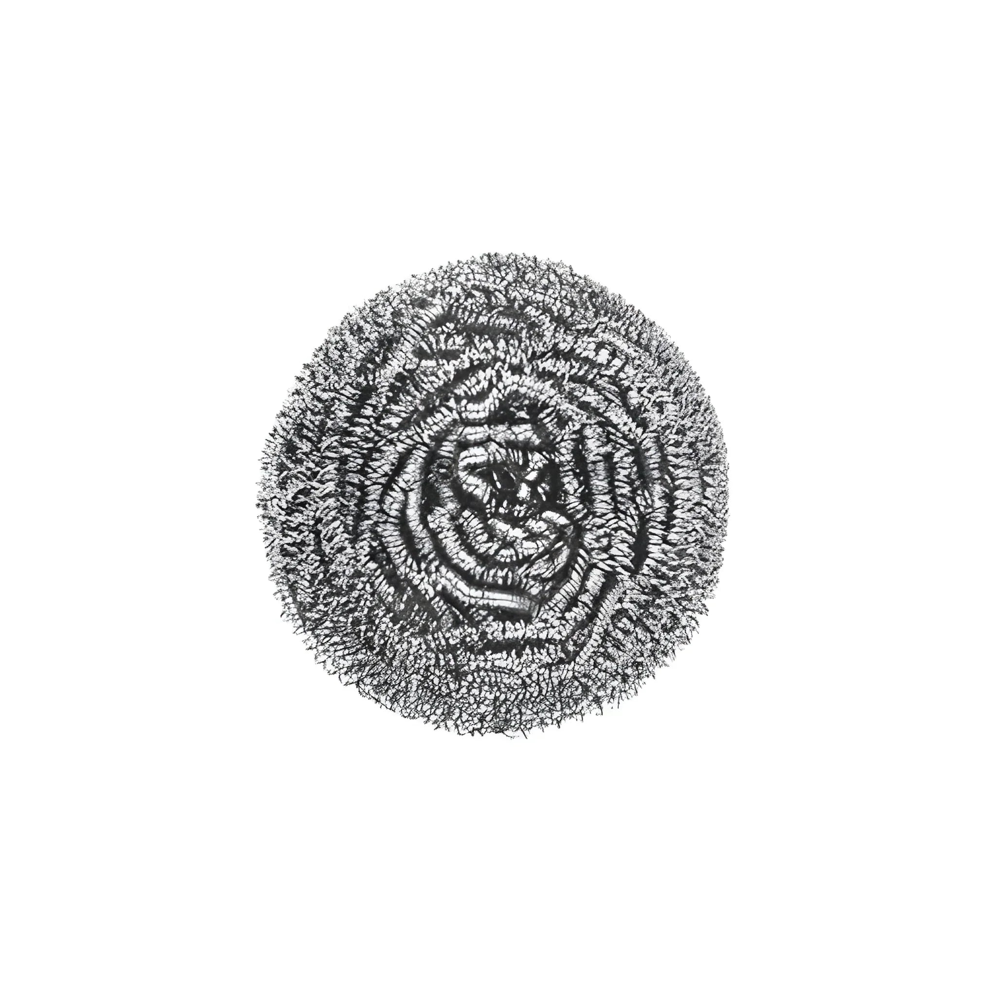 Best stainless steel ball scrubber - 2025 | fast shipping