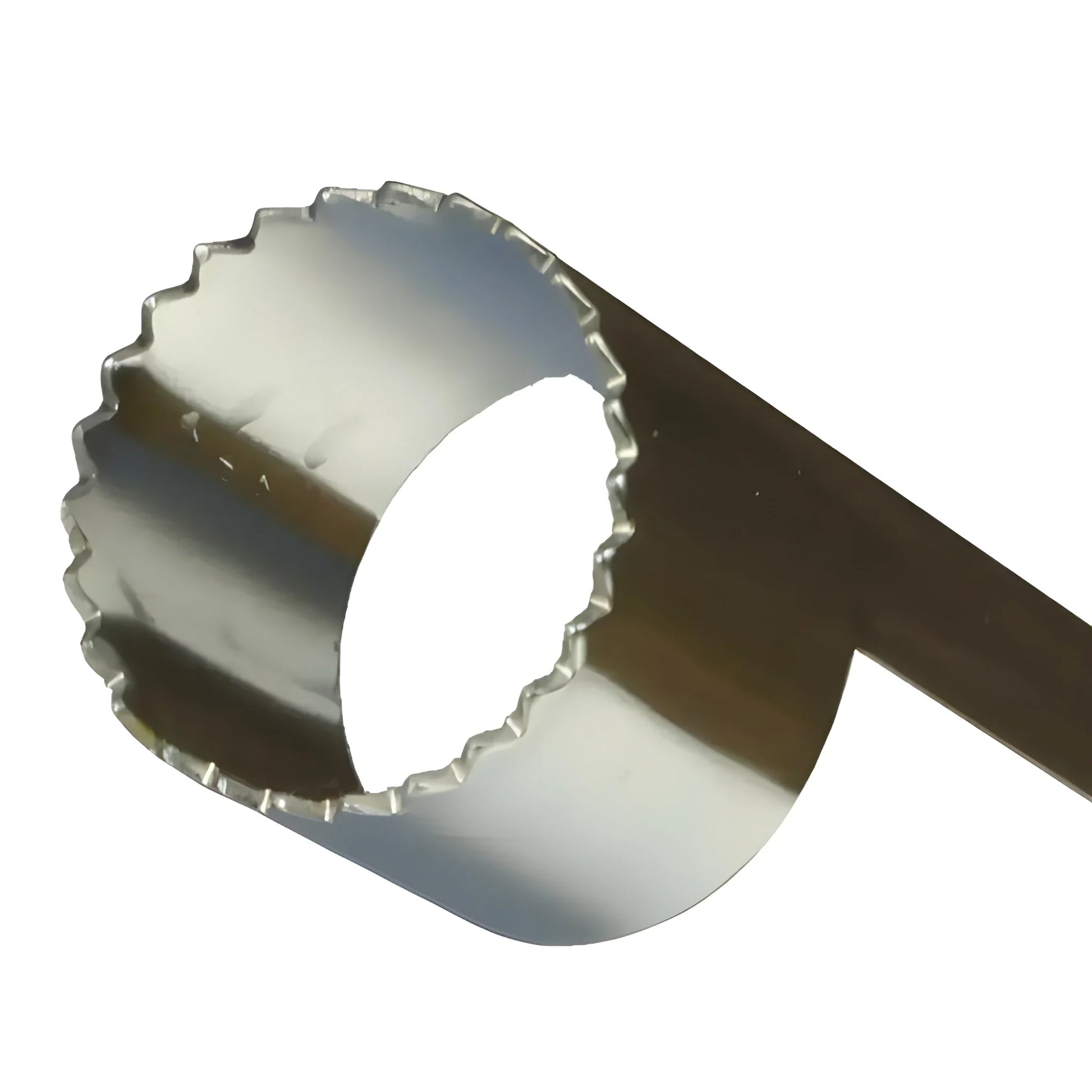 Stainless Steel Fruit Corer - Home & Kitchen