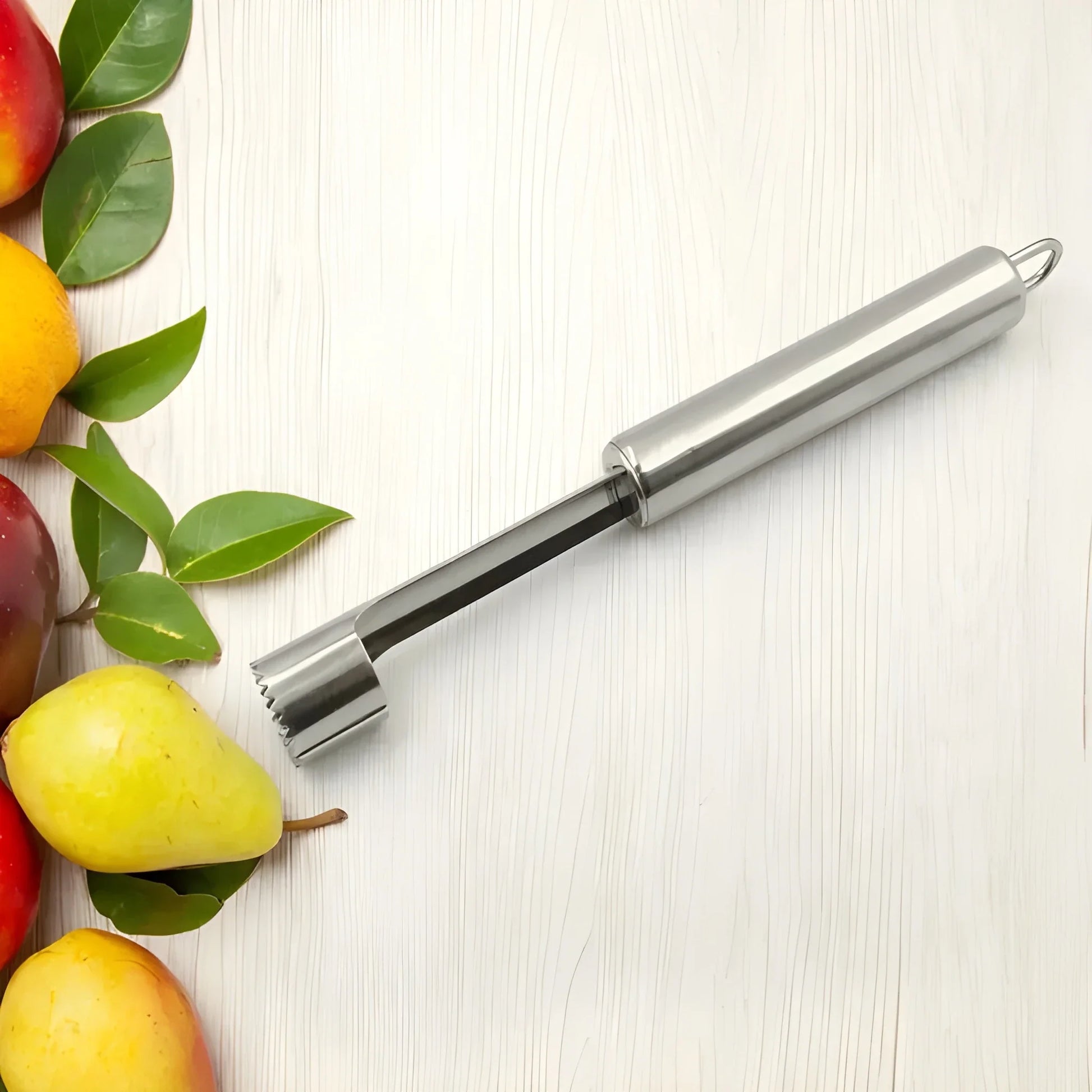 Stainless Steel Fruit Corer - Home & Kitchen