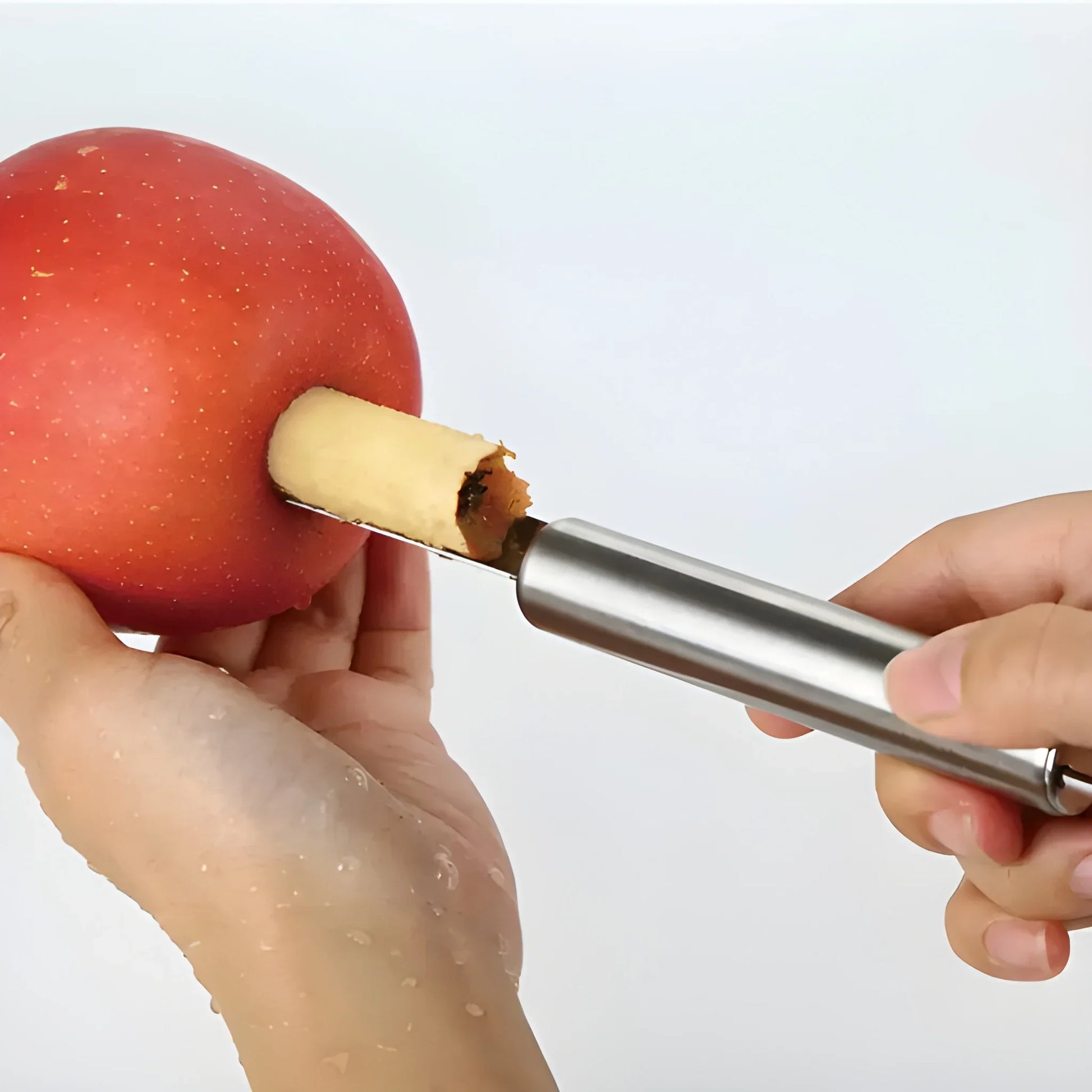Stainless Steel Fruit Corer - Home & Kitchen