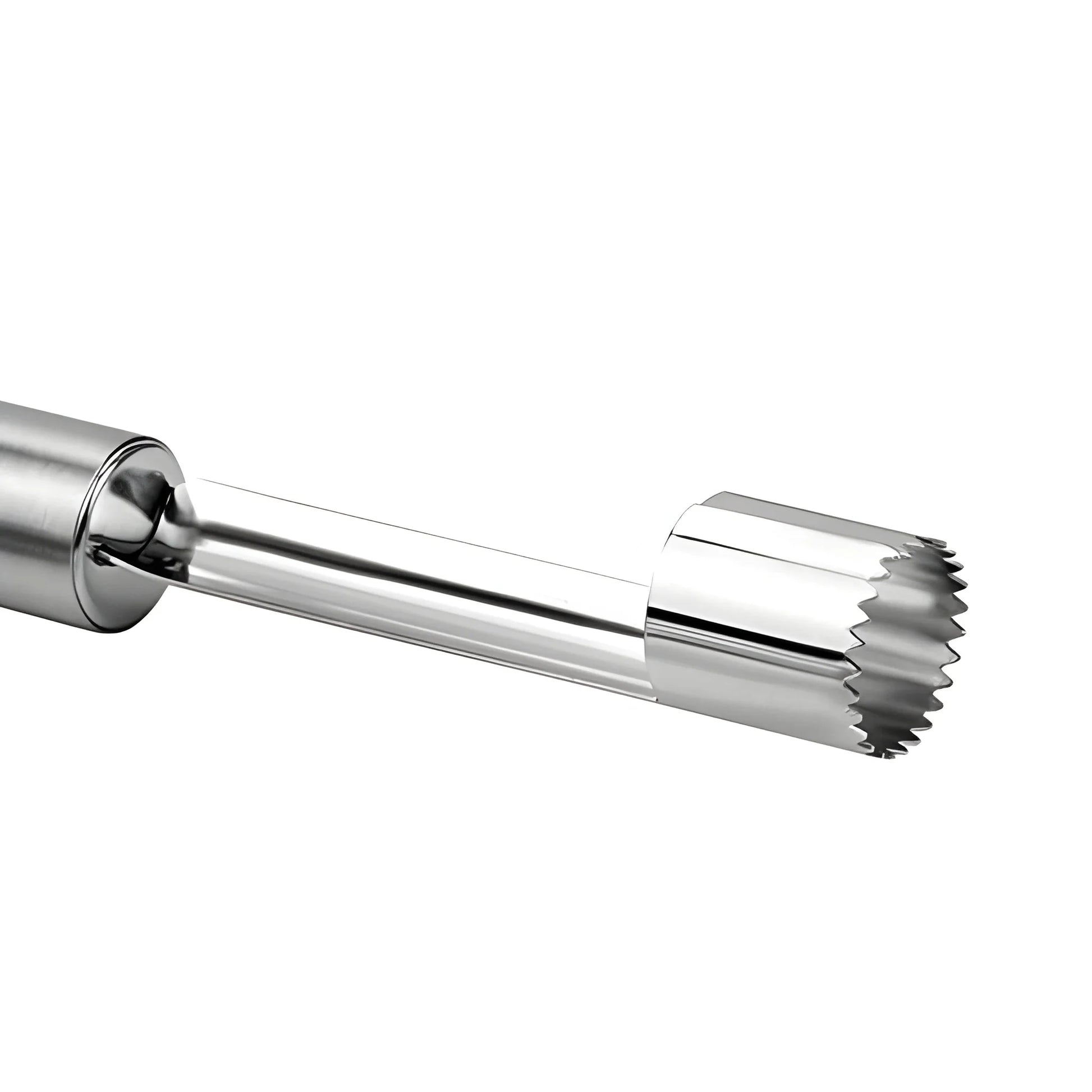 Stainless Steel Fruit Corer - Home & Kitchen