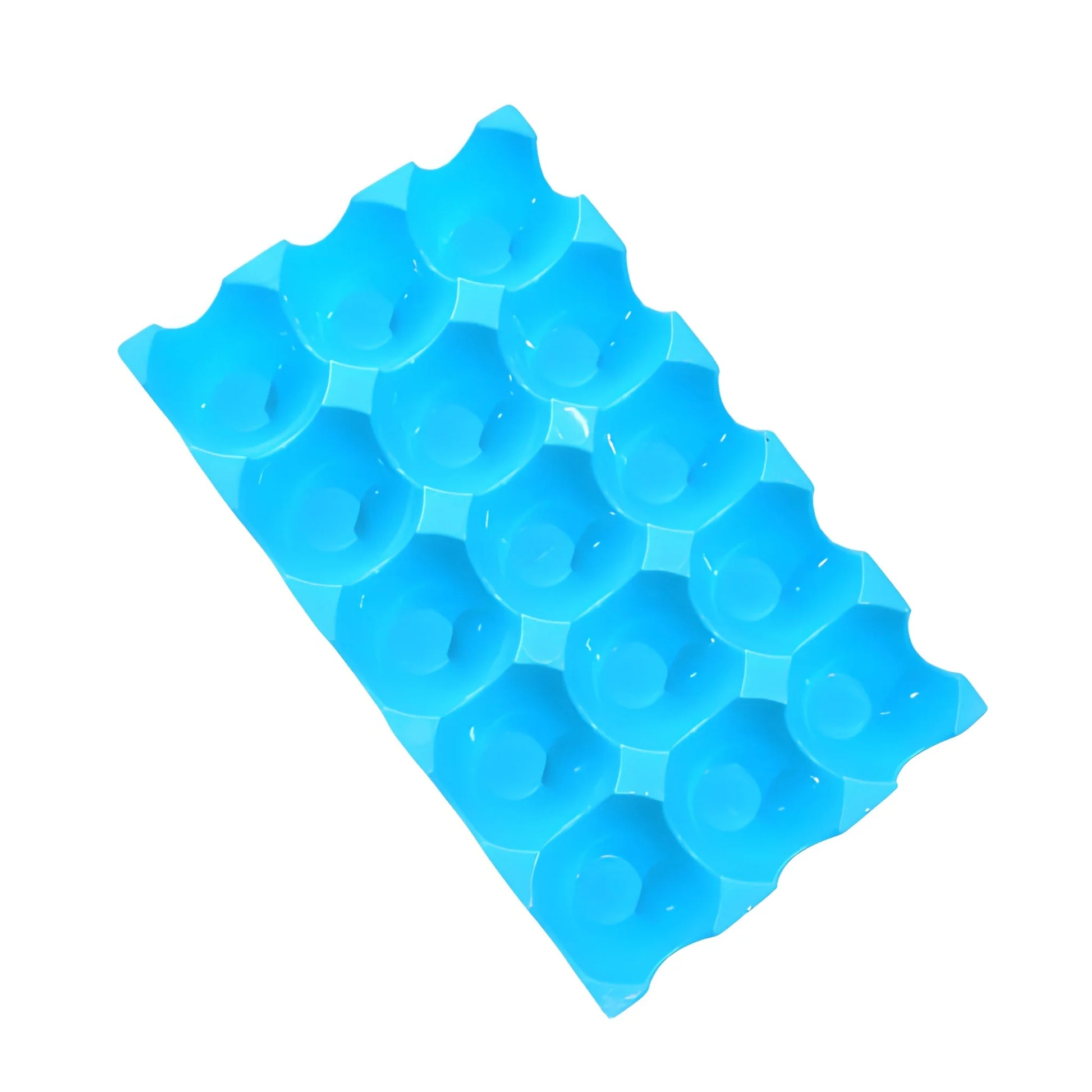 Sturdy 15-Egg Tray - Home & Kitchen