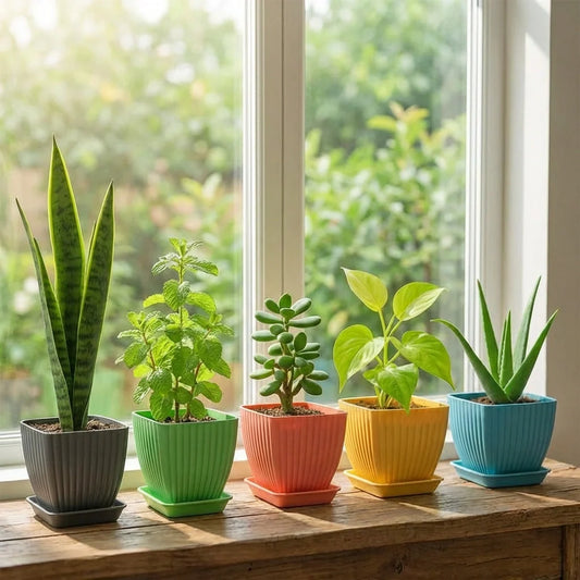 Best trendy square flower pots - 2026 | fast shipping