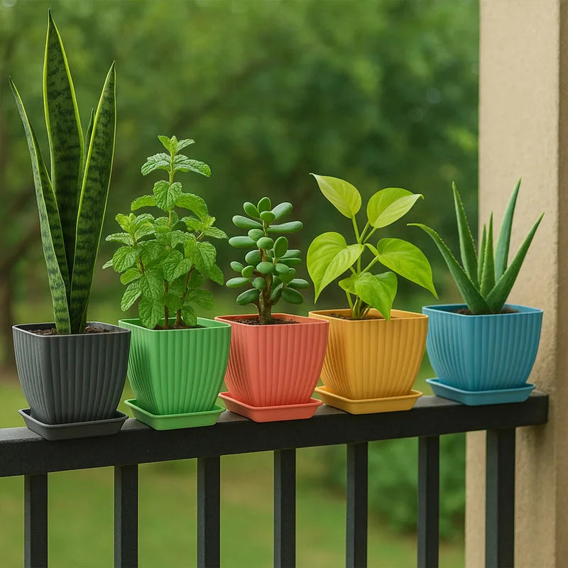 Best trendy square flower pots - 2025 | fast shipping