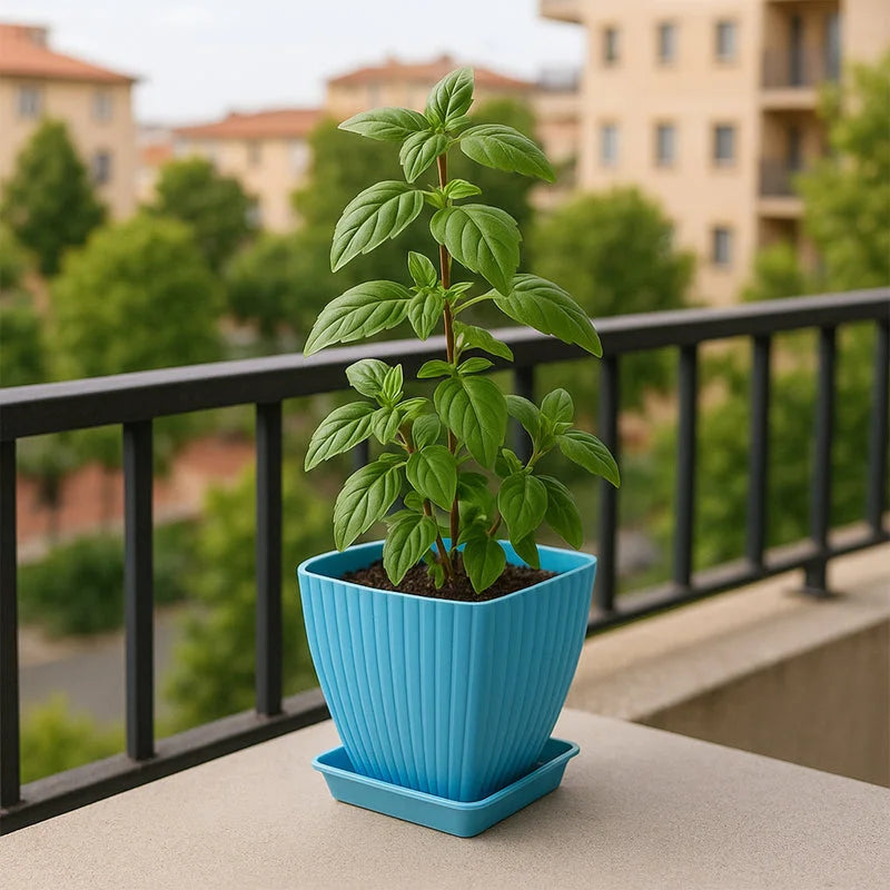 Best trendy square flower pots - 2025 | fast shipping