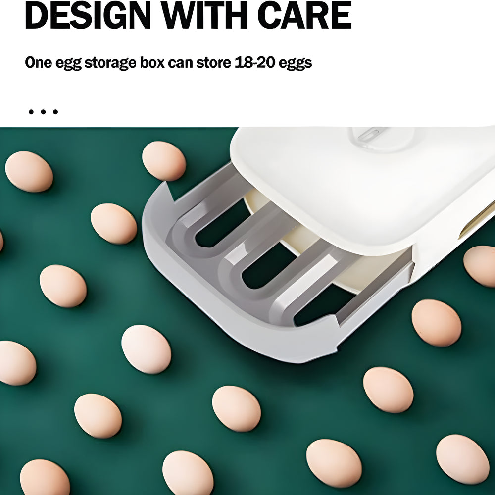 Best plastic egg box - bread boxes & bags | 2025 | fast shipping