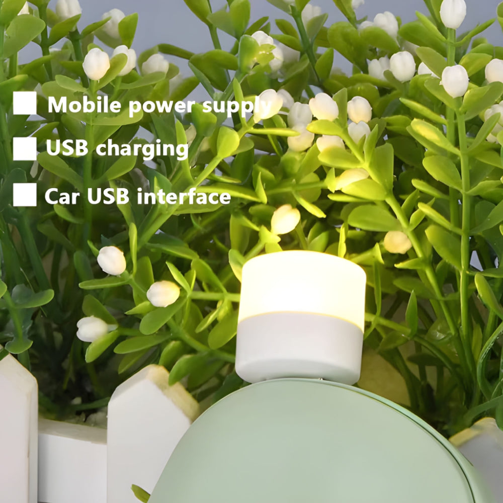 Mini USB Night Light - Electronics