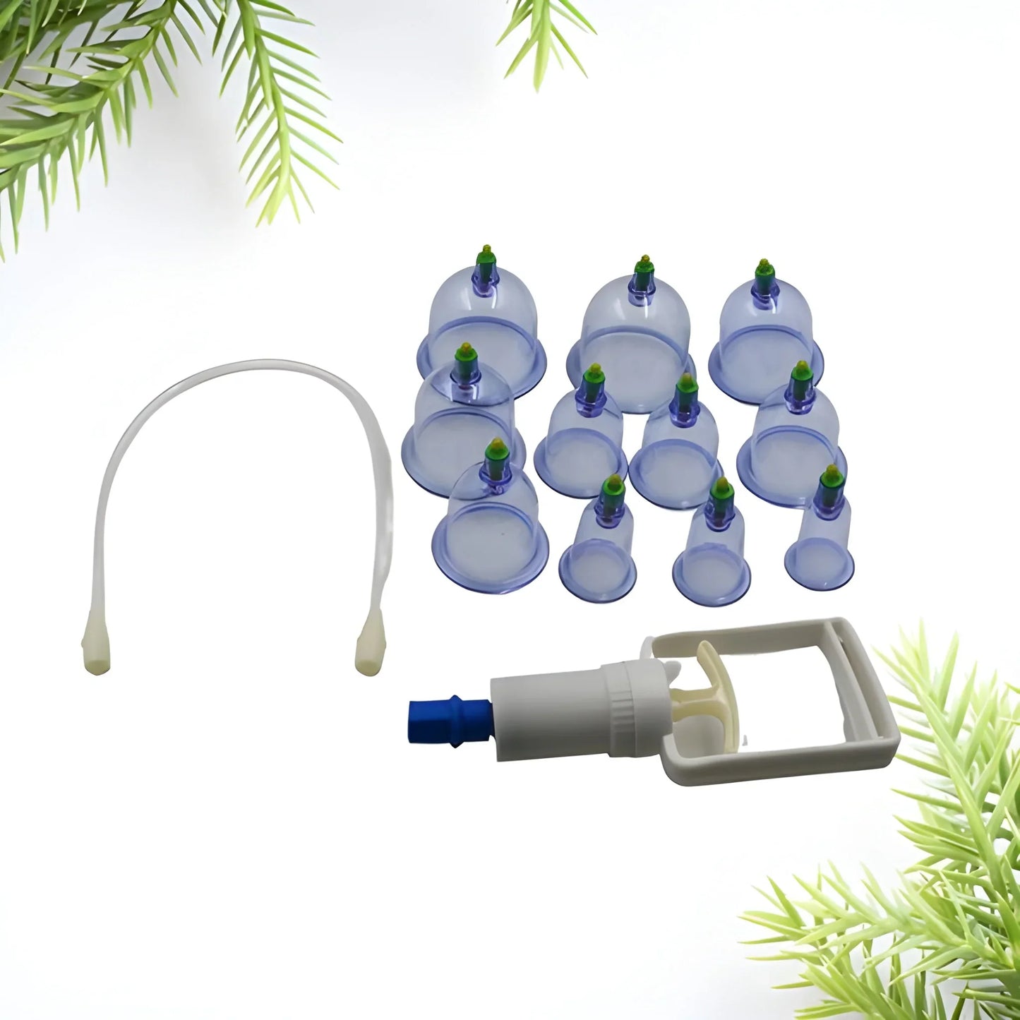 Best vacuum cupping set 6 pcs kit - health & beauty | 2025 | fast shipping